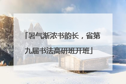 暑气渐浓书韵长，省第九届书法高研班开班