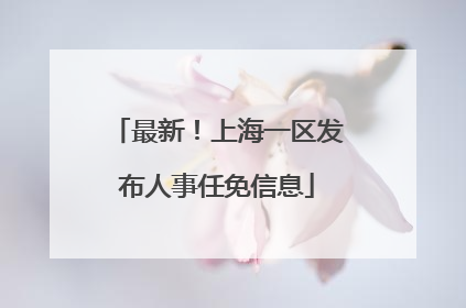 最新！上海一区发布人事任免信息