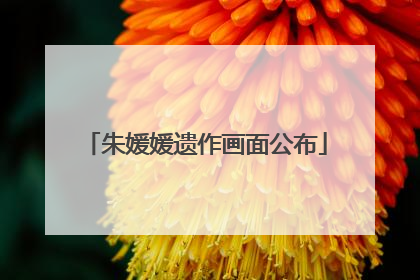 朱媛媛遗作画面公布