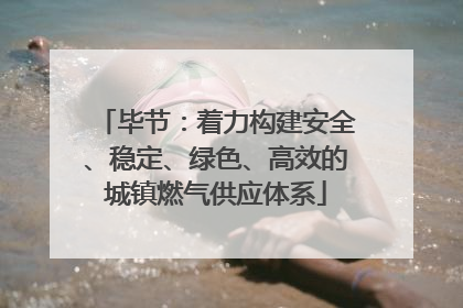 毕节：着力构建安全、稳定、绿色、高效的城镇燃气供应体系