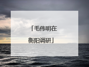 毛伟明在衡阳调研