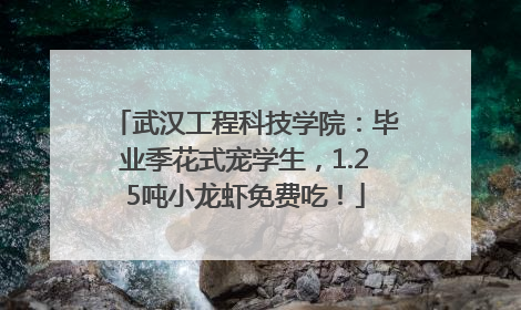 武汉工程科技学院：毕业季花式宠学生，1.25吨小龙虾免费吃！
