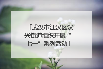 武汉市江汉区汉兴街道组织开展“七一”系列活动