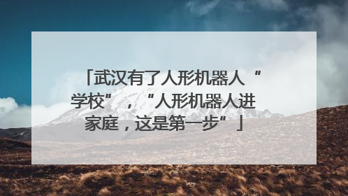 武汉有了人形机器人“学校”，“人形机器人进家庭，这是第一步”