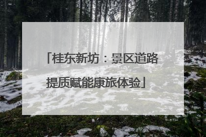 桂东新坊：景区道路提质赋能康旅体验