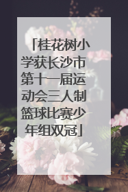 桂花树小学获长沙市第十一届运动会三人制篮球比赛少年组双冠