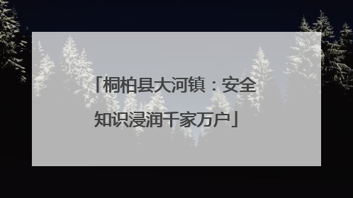 桐柏县大河镇：安全知识浸润千家万户