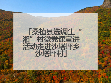 桑植县选调生“湘”村微党课宣讲活动走进沙塔坪乡沙塔坪村