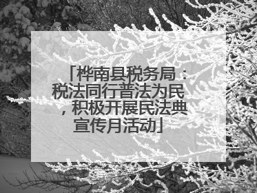 桦南县税务局：税法同行普法为民，积极开展民法典宣传月活动