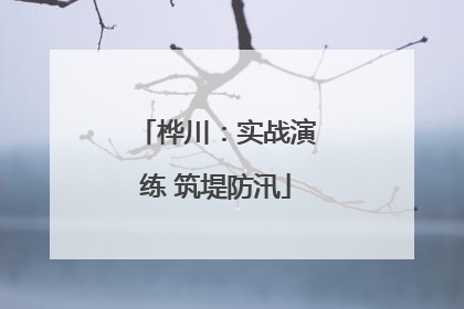 桦川：实战演练 筑堤防汛