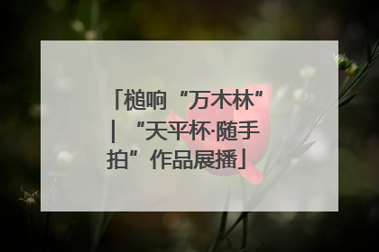 槌响“万木林”｜“天平杯·随手拍”作品展播
