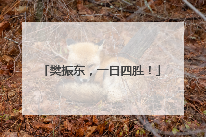 樊振东，一日四胜！