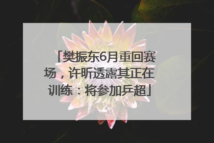 樊振东6月重回赛场，许昕透露其正在训练：将参加乒超