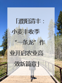 濮阳清丰：小麦丰收季 “一条龙”作业开启农业高效新篇章