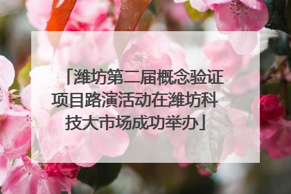 潍坊第二届概念验证项目路演活动在潍坊科技大市场成功举办