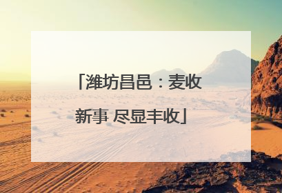 潍坊昌邑：麦收新事 尽显丰收