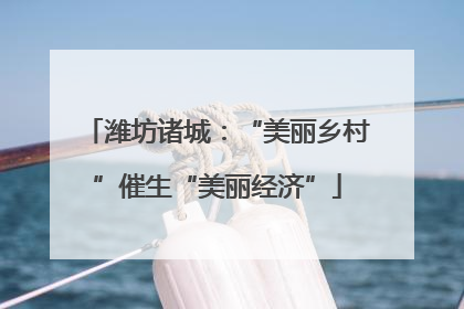 潍坊诸城：“美丽乡村”催生“美丽经济”