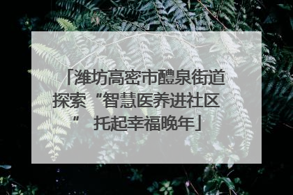 潍坊高密市醴泉街道探索“智慧医养进社区” 托起幸福晚年
