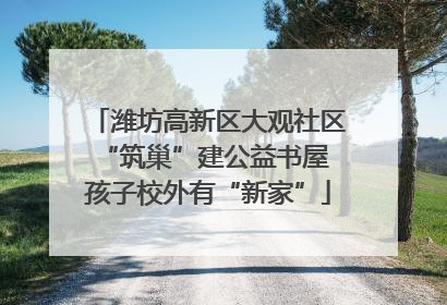 潍坊高新区大观社区“筑巢”建公益书屋 孩子校外有“新家”