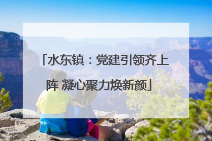水东镇：党建引领齐上阵 凝心聚力焕新颜