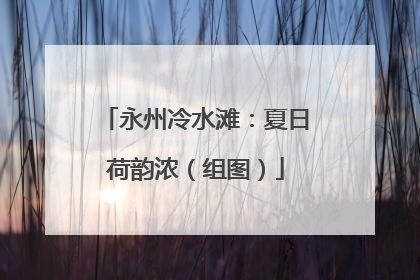 永州冷水滩：夏日荷韵浓（组图）