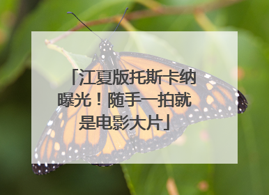 江夏版托斯卡纳曝光！随手一拍就是电影大片