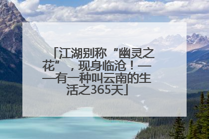 江湖别称“幽灵之花”，现身临沧！——有一种叫云南的生活之365天