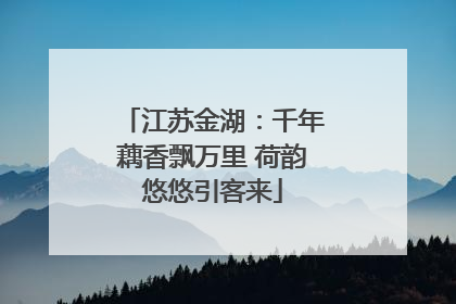 江苏金湖：千年藕香飘万里 荷韵悠悠引客来
