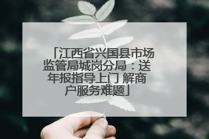 江西省兴国县市场监管局城岗分局：送年报指导上门 解商户服务难题