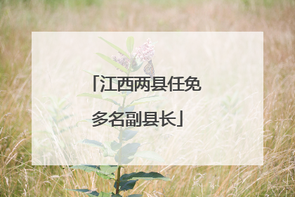 江西两县任免多名副县长