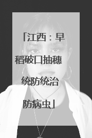 江西：早稻破口抽穗 统防统治防病虫