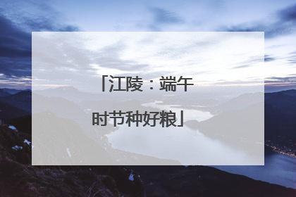 江陵：端午时节种好粮