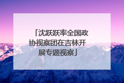 沈跃跃率全国政协视察团在吉林开展专题视察