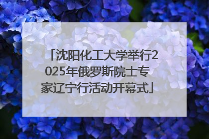 沈阳化工大学举行2025年俄罗斯院士专家辽宁行活动开幕式