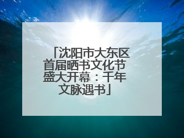 沈阳市大东区首届晒书文化节盛大开幕：千年文脉遇书