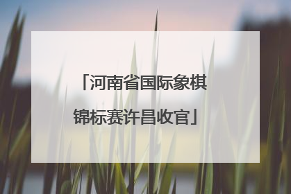河南省国际象棋锦标赛许昌收官