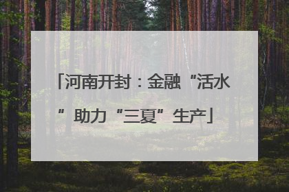 河南开封：金融“活水”助力“三夏”生产