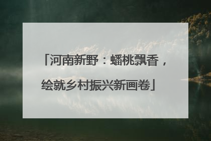 河南新野：蟠桃飘香，绘就乡村振兴新画卷