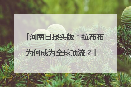 河南日报头版：拉布布为何成为全球顶流？