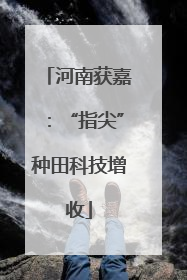 河南获嘉：“指尖”种田科技增收