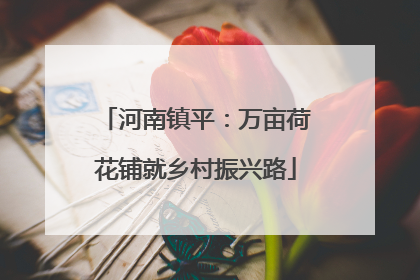 河南镇平：万亩荷花铺就乡村振兴路