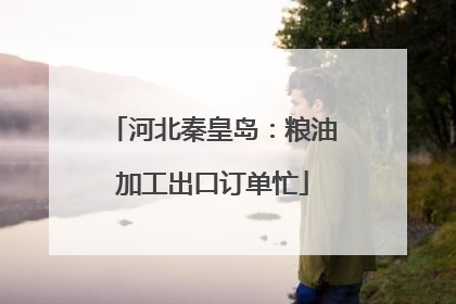 河北秦皇岛：粮油加工出口订单忙