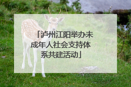泸州江阳举办未成年人社会支持体系共建活动