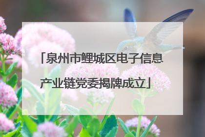 泉州市鲤城区电子信息产业链党委揭牌成立