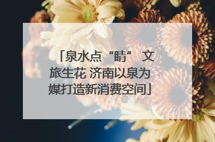 泉水点“睛” 文旅生花 济南以泉为媒打造新消费空间