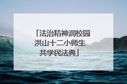 法治精神润校园 洪山十二小师生共学民法典