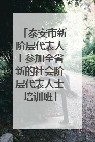 泰安市新阶层代表人士参加全省新的社会阶层代表人士培训班
