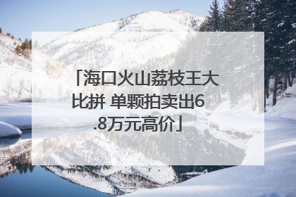 海口火山荔枝王大比拼 单颗拍卖出6.8万元高价