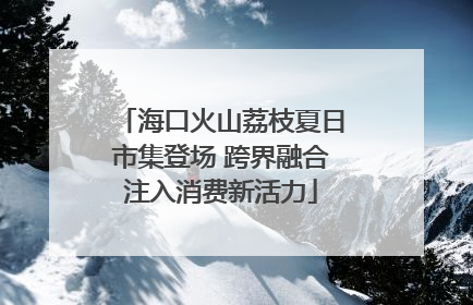 海口火山荔枝夏日市集登场 跨界融合注入消费新活力