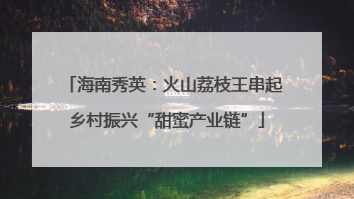 海南秀英：火山荔枝王串起乡村振兴“甜蜜产业链”